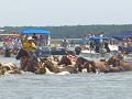 Chincoteague Pony Swim July 2007 047